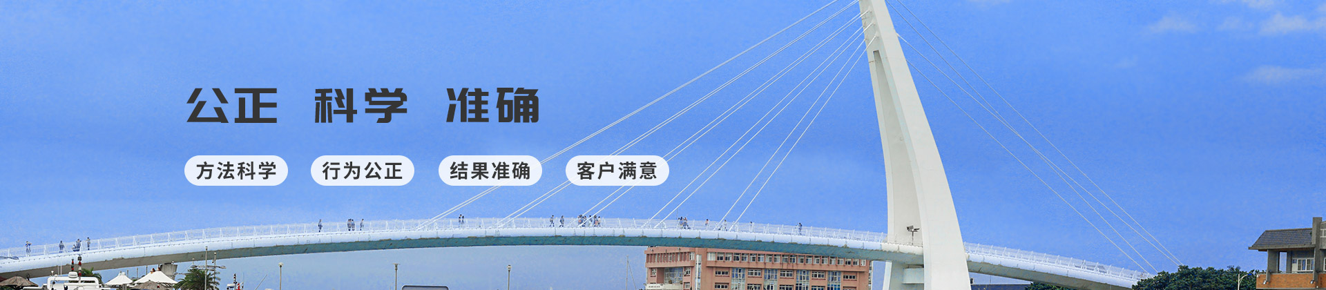 小型履帶式起重機(jī)